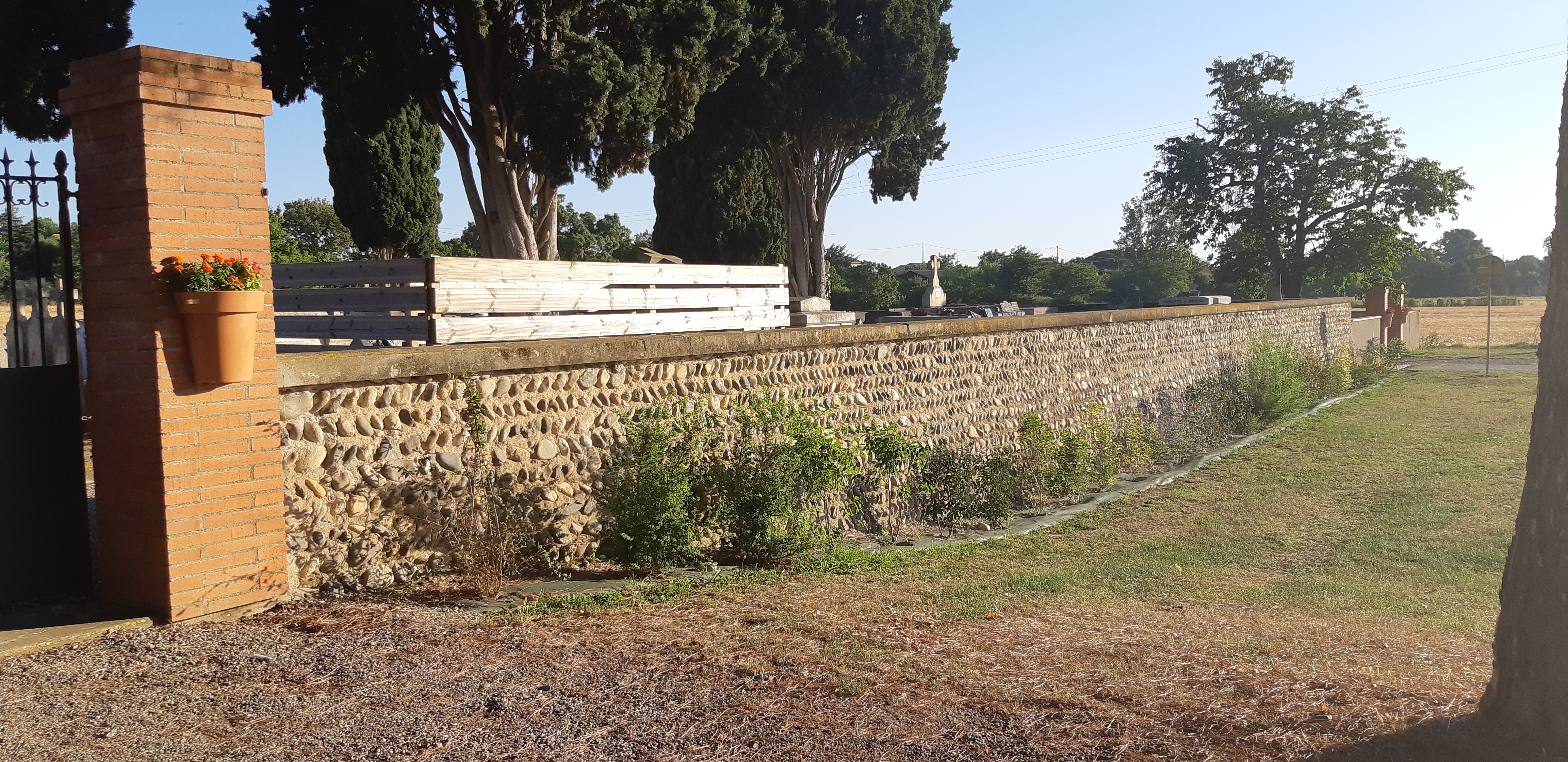 Cimetière haie.jpg