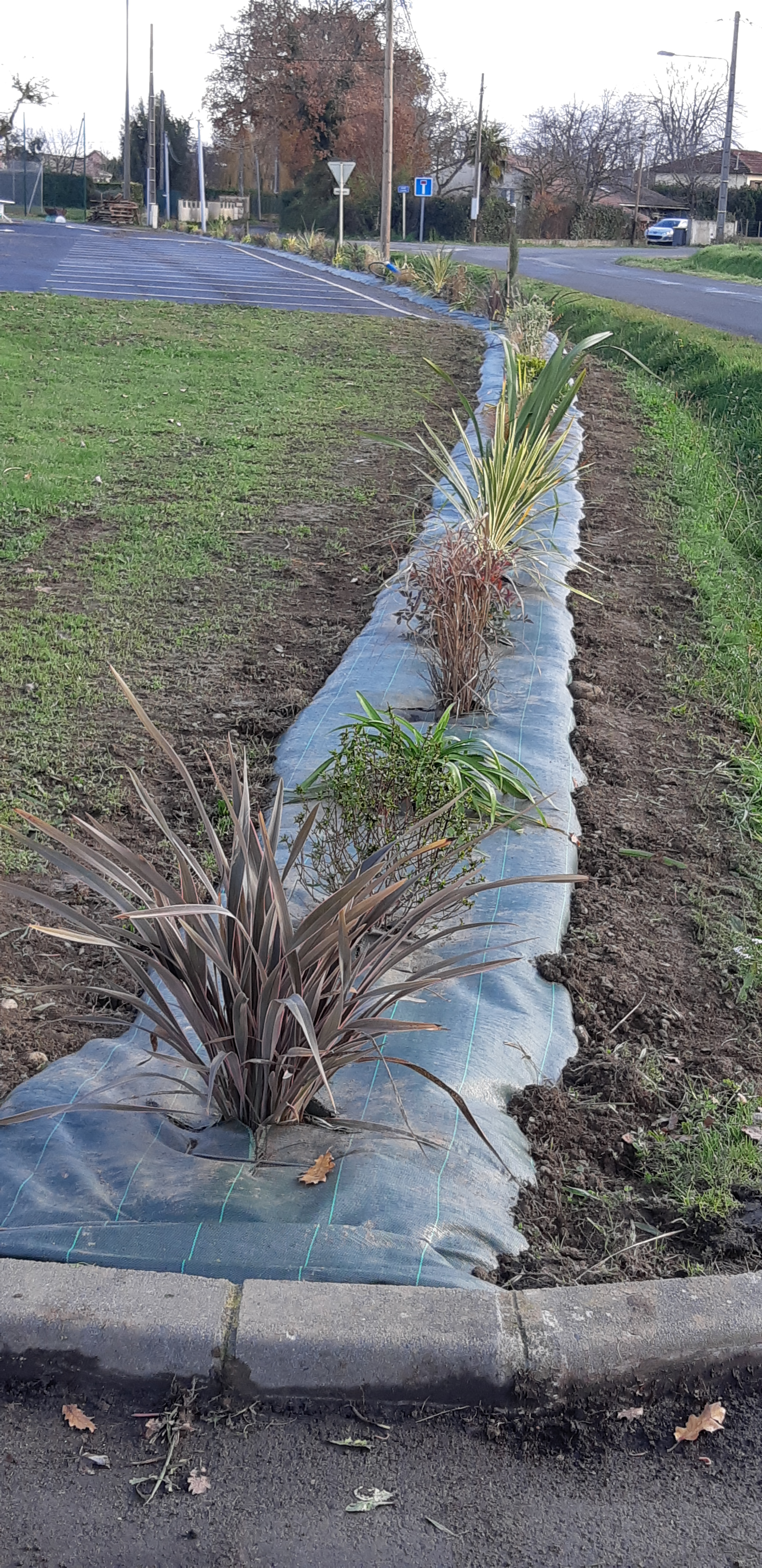 Salle des fêtes parking.jpg