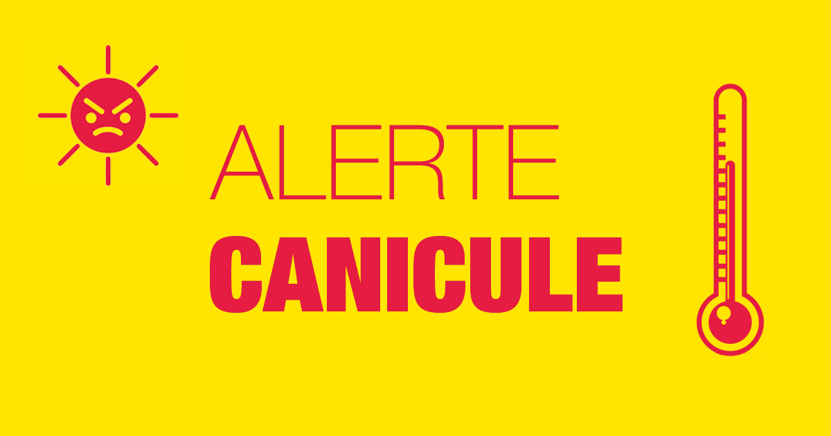 canicule.jpg