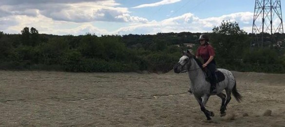 CHEVAL 2.jpg