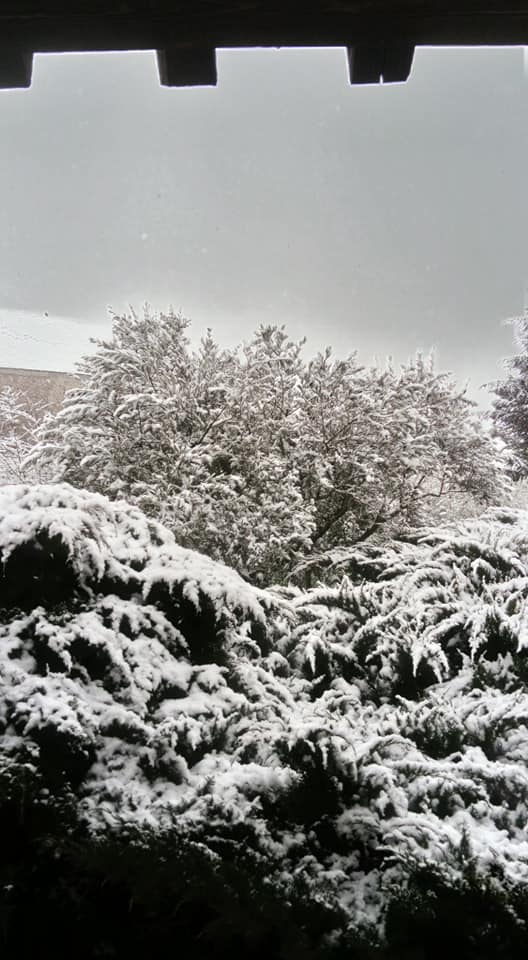 St Césaire neige 13.jpg