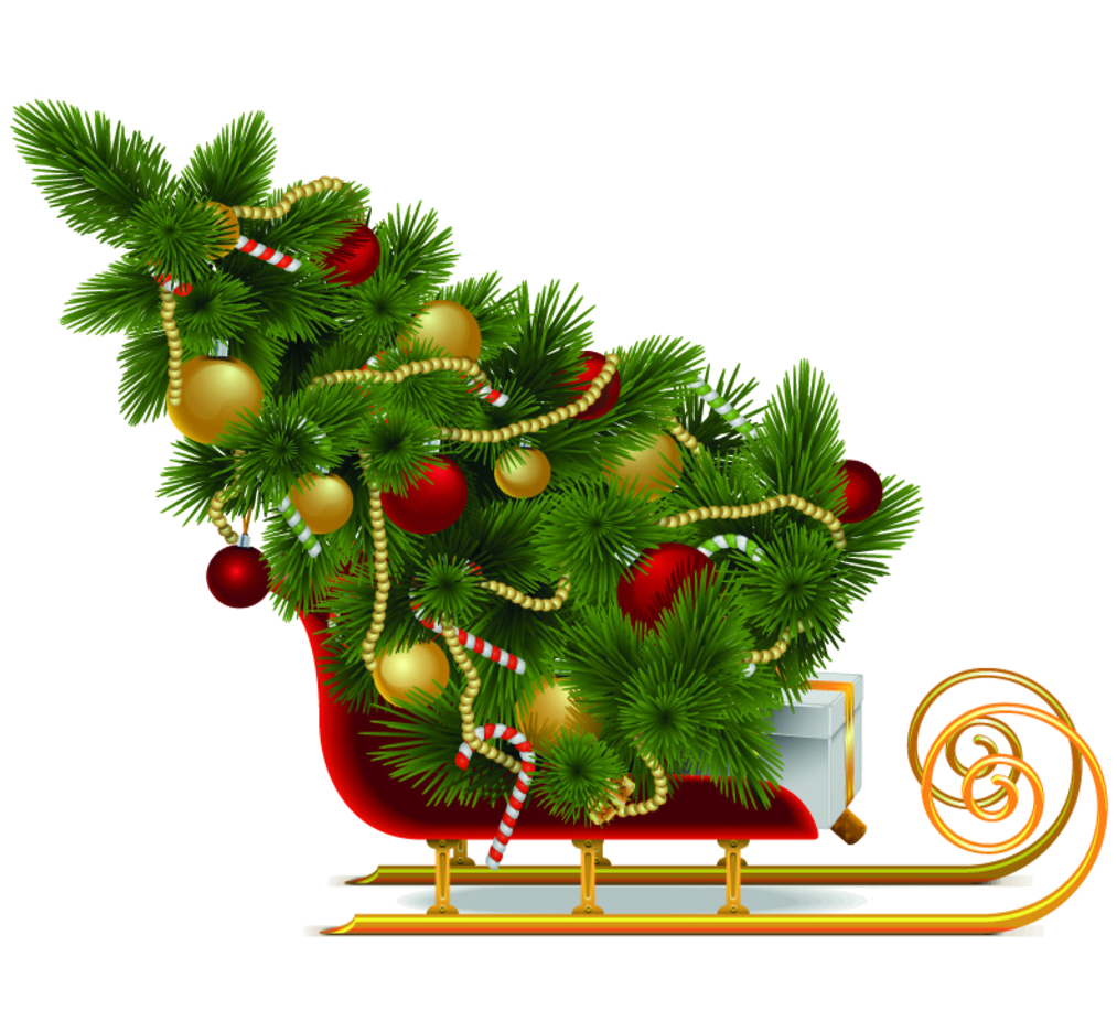 sapins de noel.png