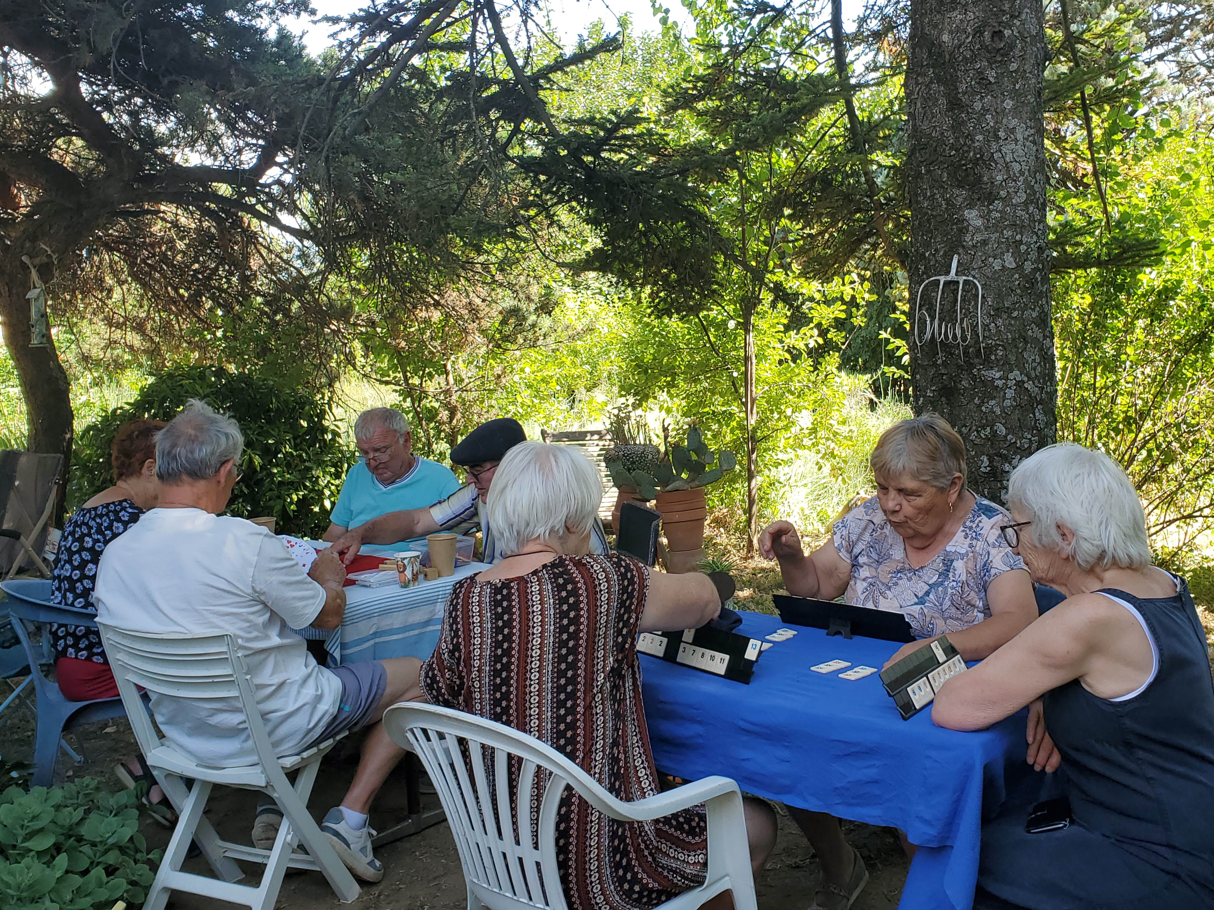 20250624_Rummikub_w.jpg