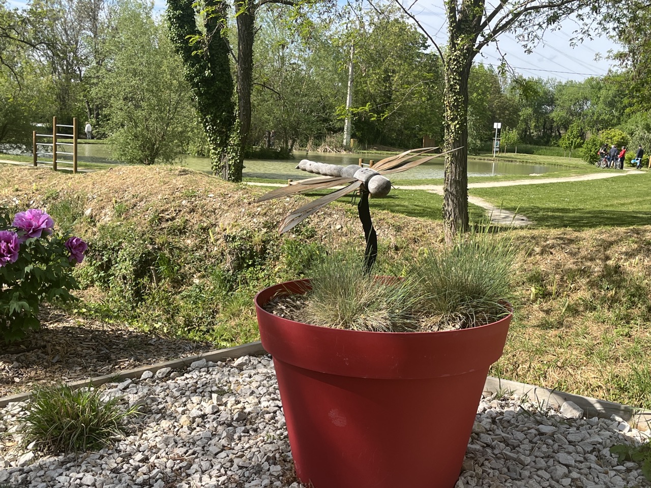 IMG_9357 - Grande.jpeg