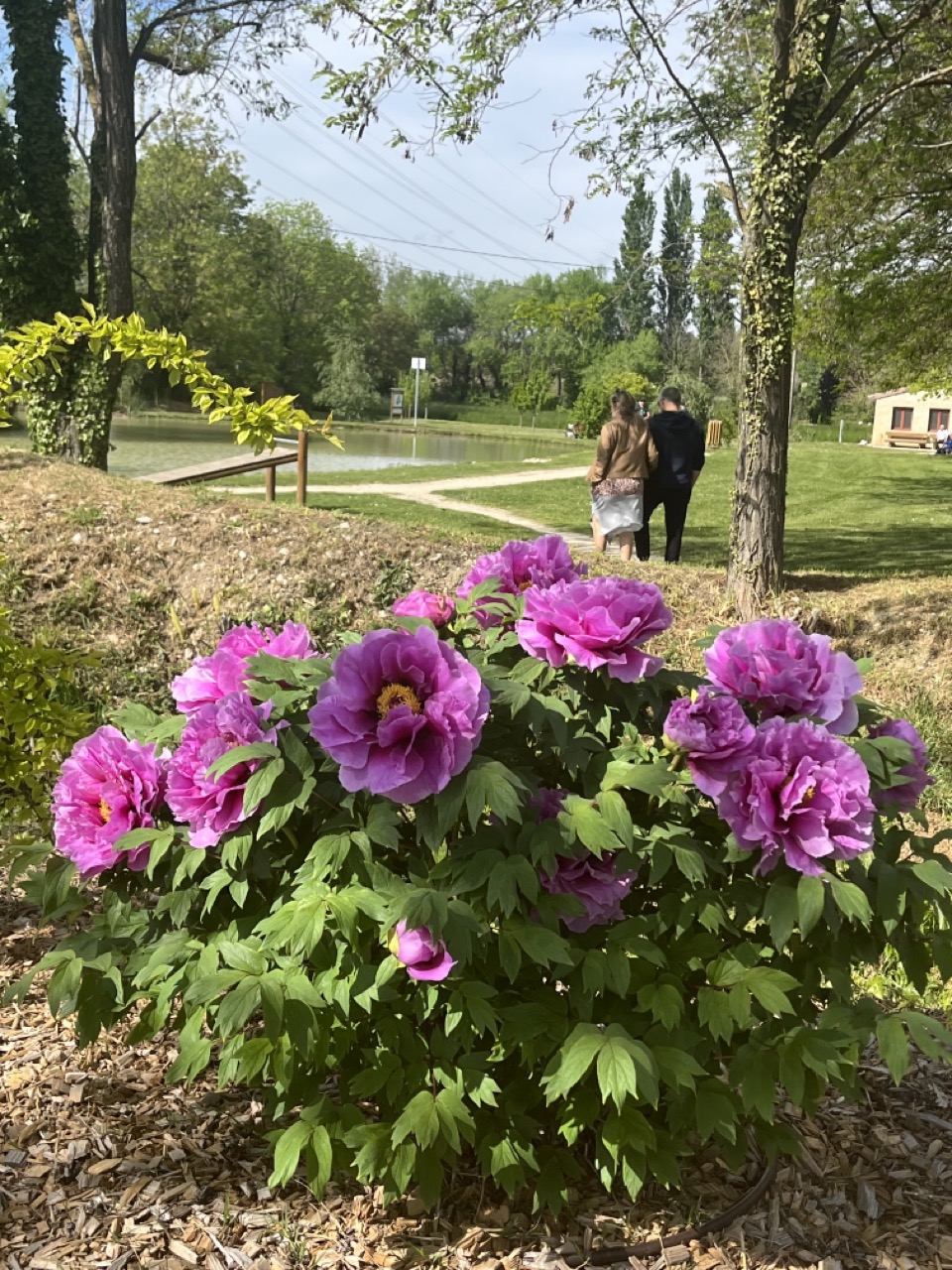 IMG_9358 - Grande.jpeg