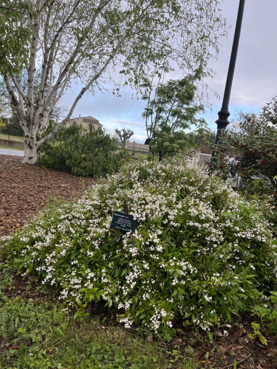 IMG_9244 - Grande.jpeg