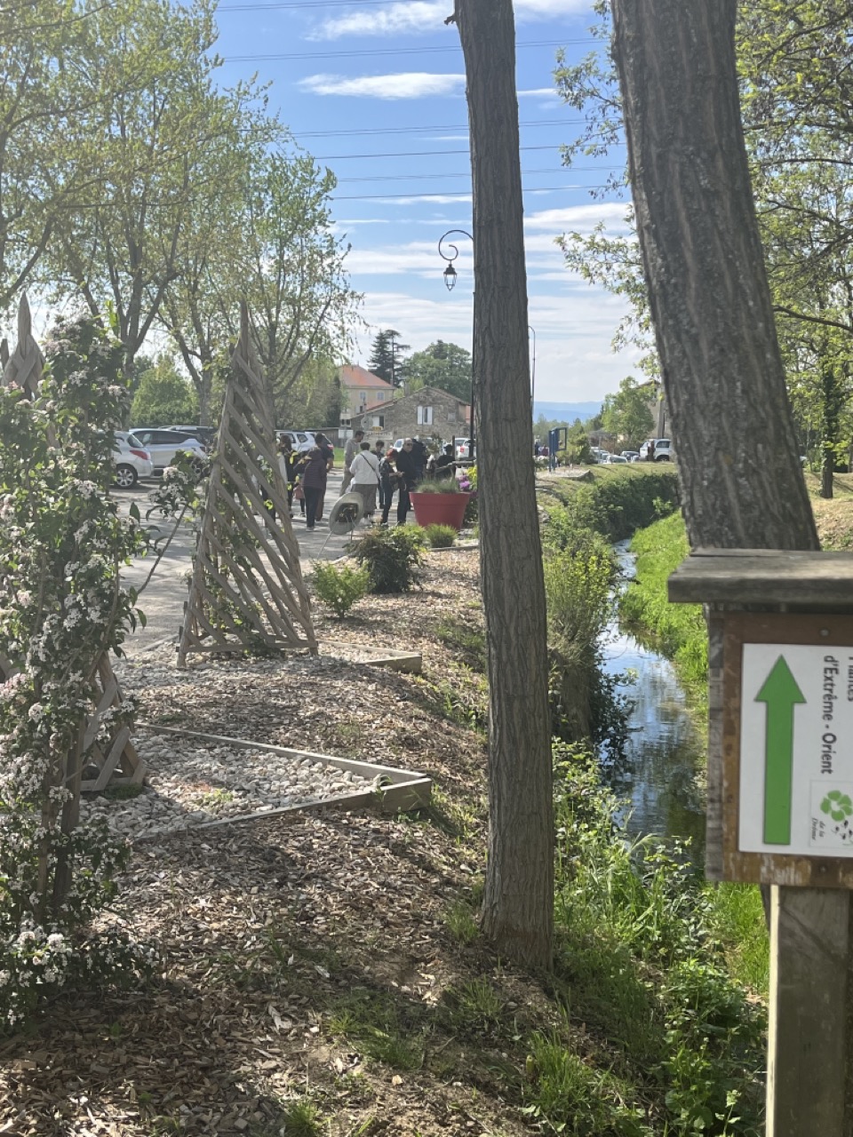 IMG_9354 - Grande.jpeg