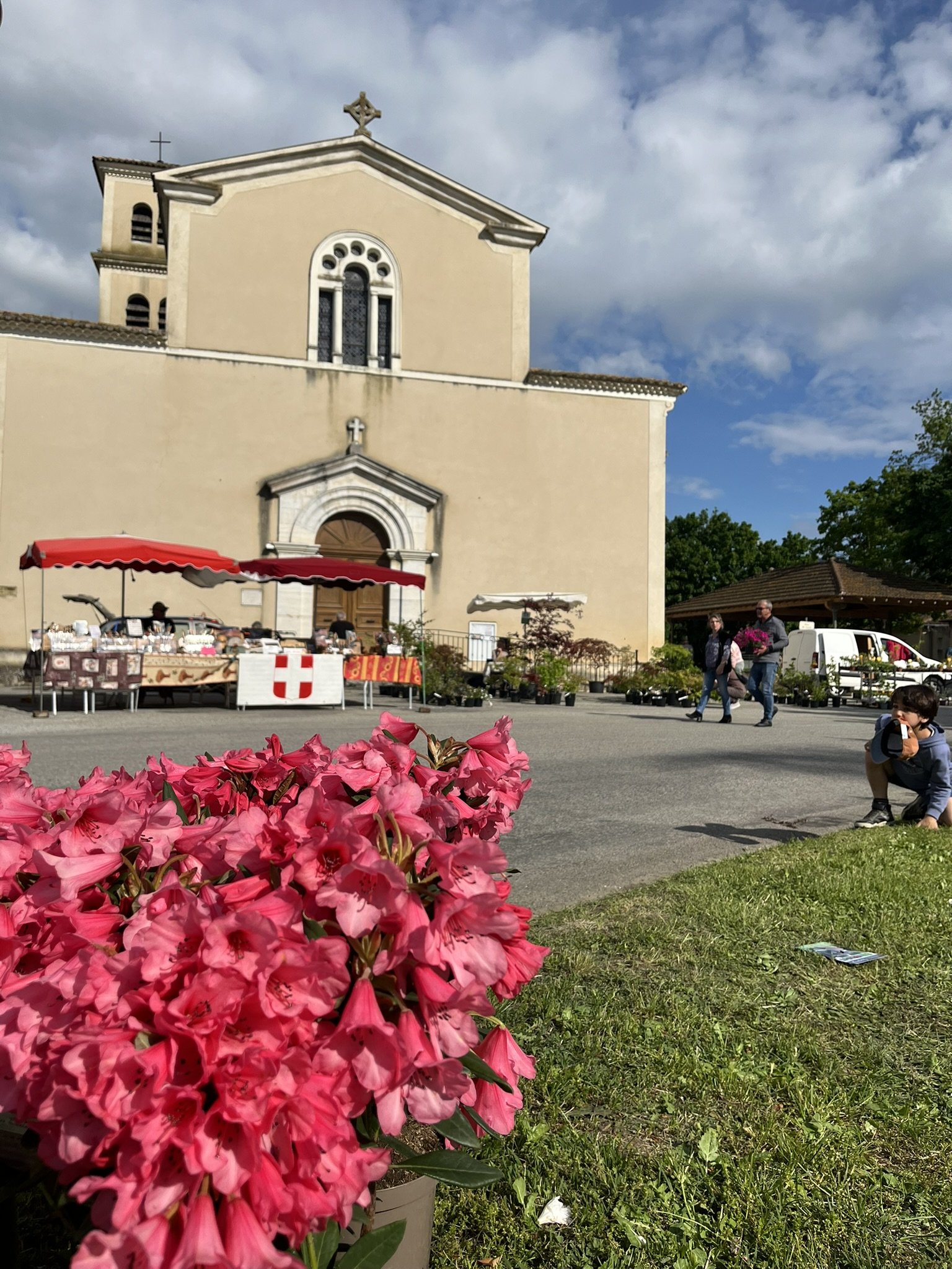 IMG_0187.JPEG