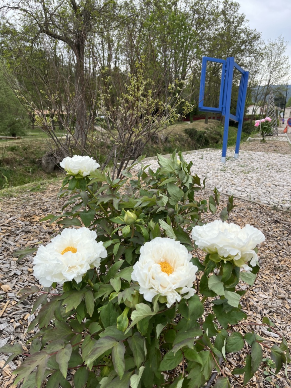 IMG_9274 - Grande.jpeg