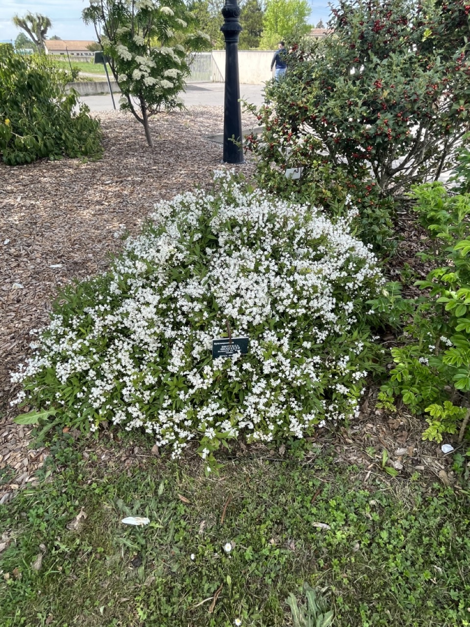 IMG_9328 - Grande.jpeg