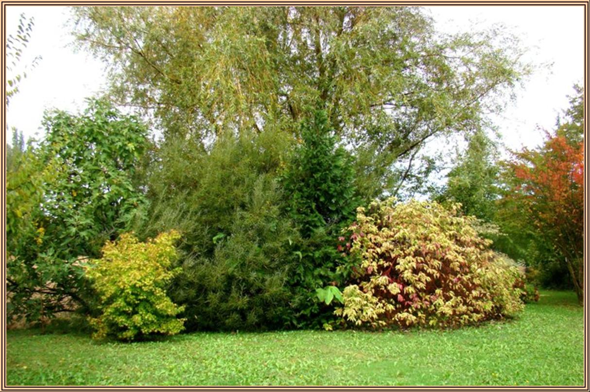 Bouquet de feuillage.jpg