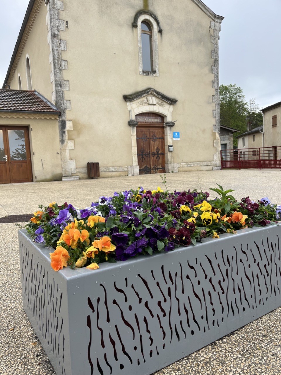 IMG_9241 - Grande.jpeg