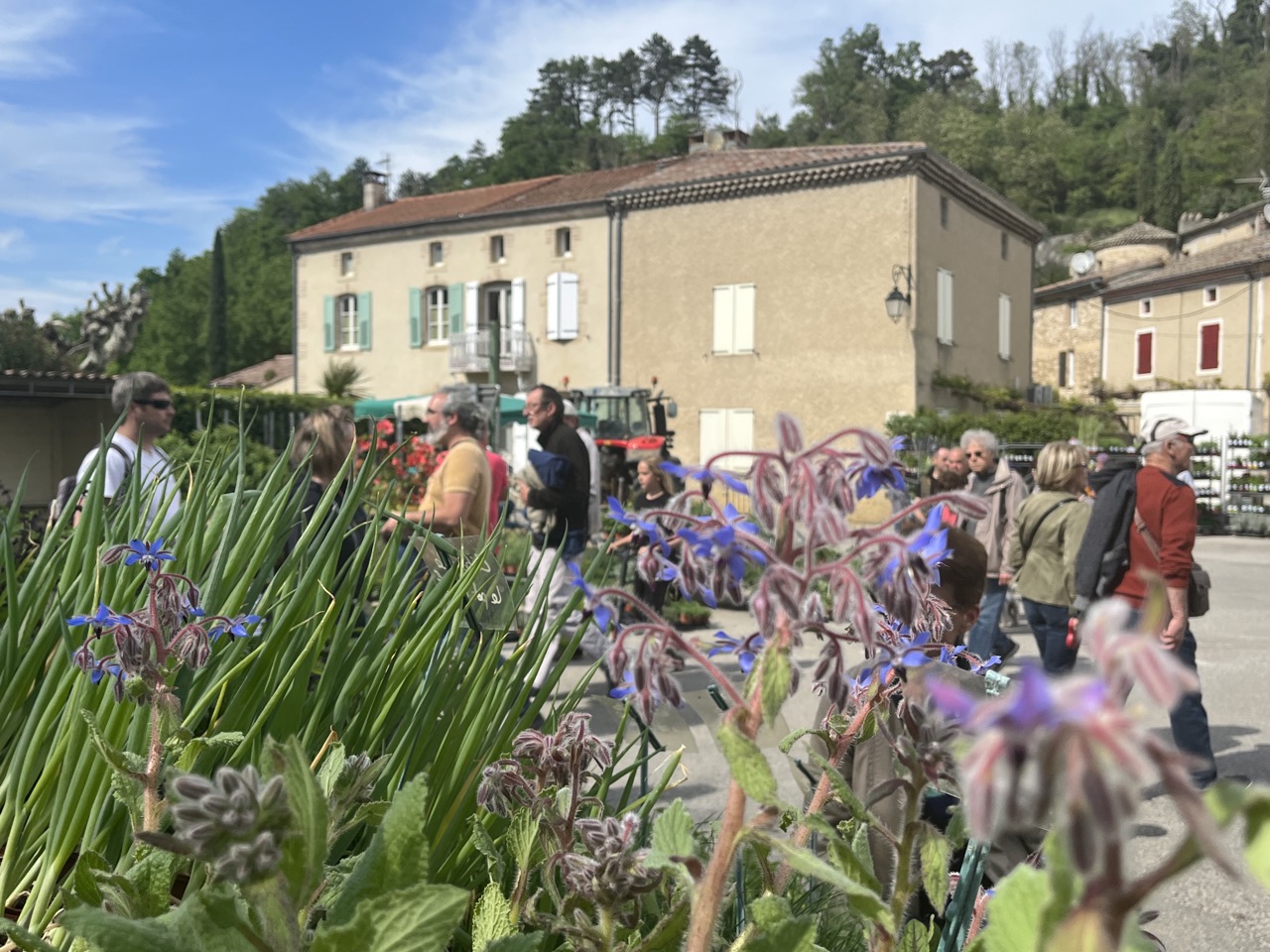 IMG_9344 - Grande.jpeg