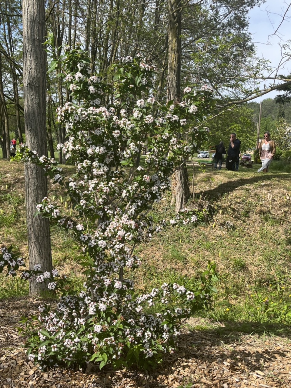 IMG_9355 - Grande.jpeg