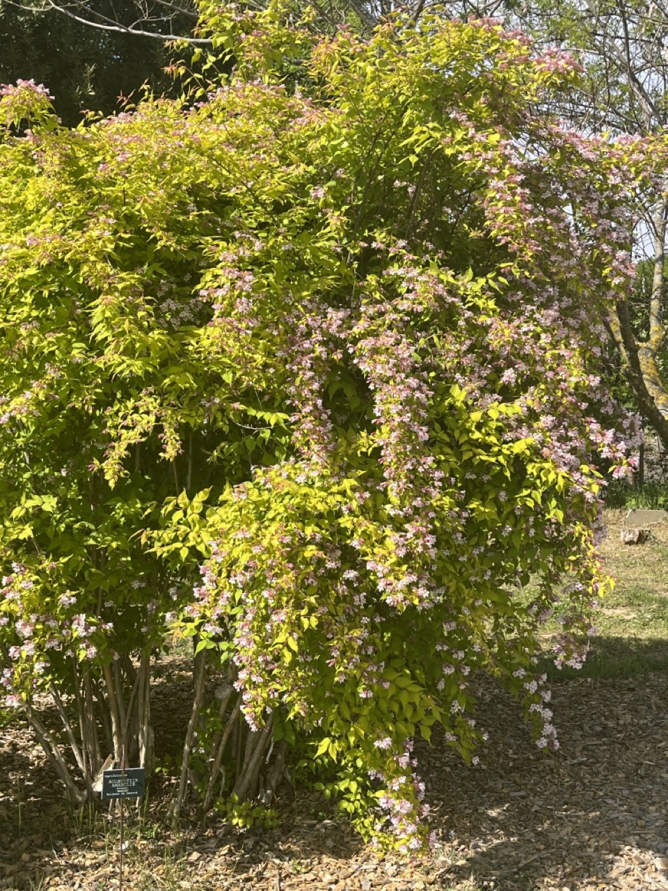 IMG_9350 - Grande.jpeg