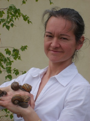 escargots de montvendre.jpg