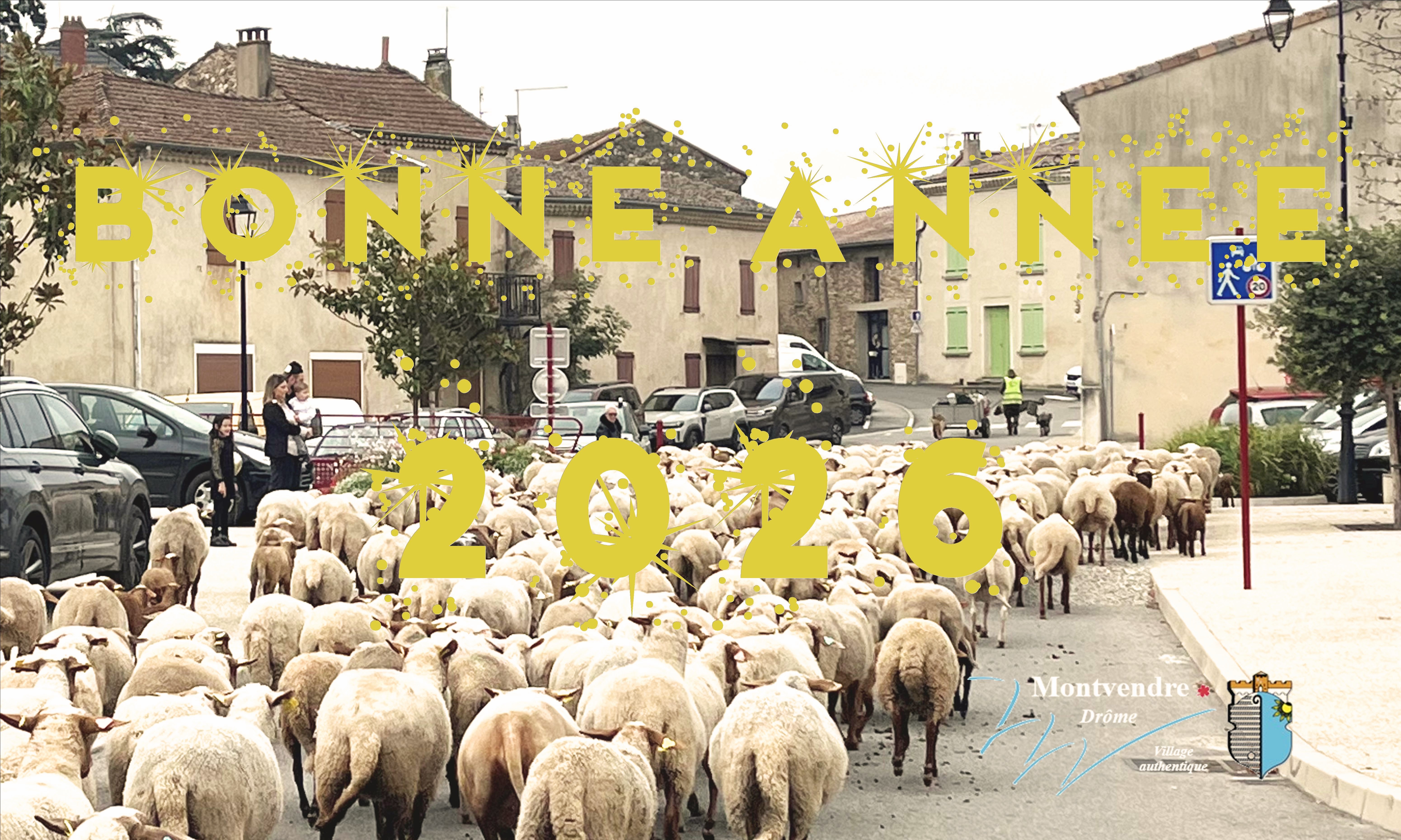 VOEUX 2026 SITE_Original.jpg