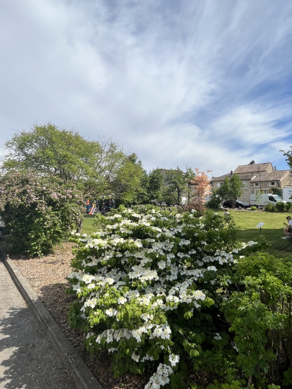 IMG_9331 - Grande.jpeg