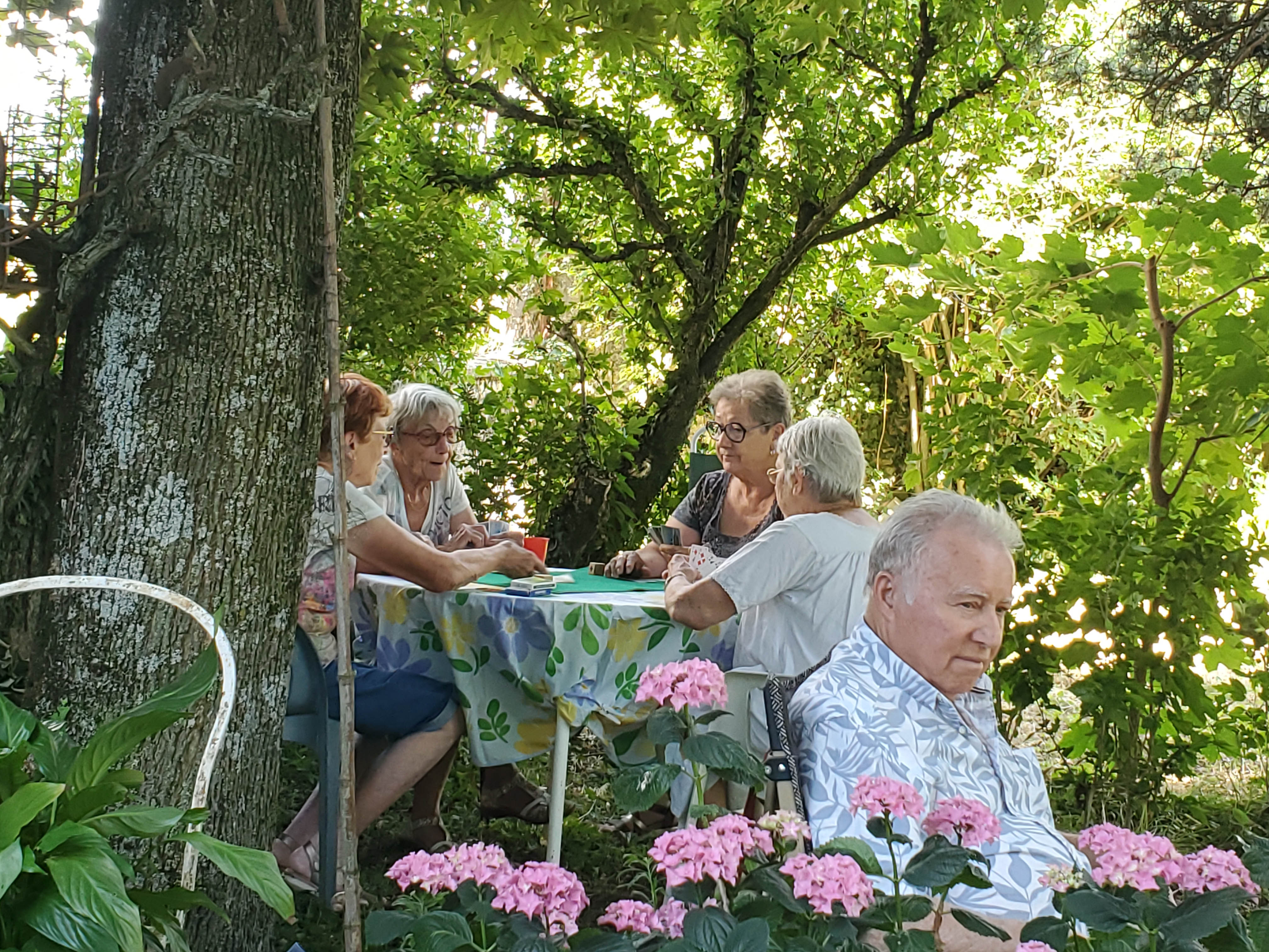 20250624_Coinche_w.jpg
