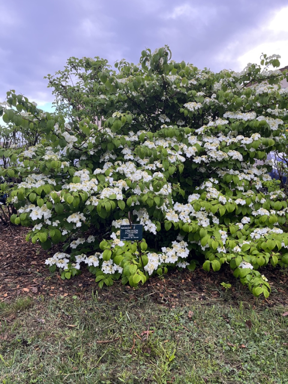 IMG_9243 - Grande.jpeg