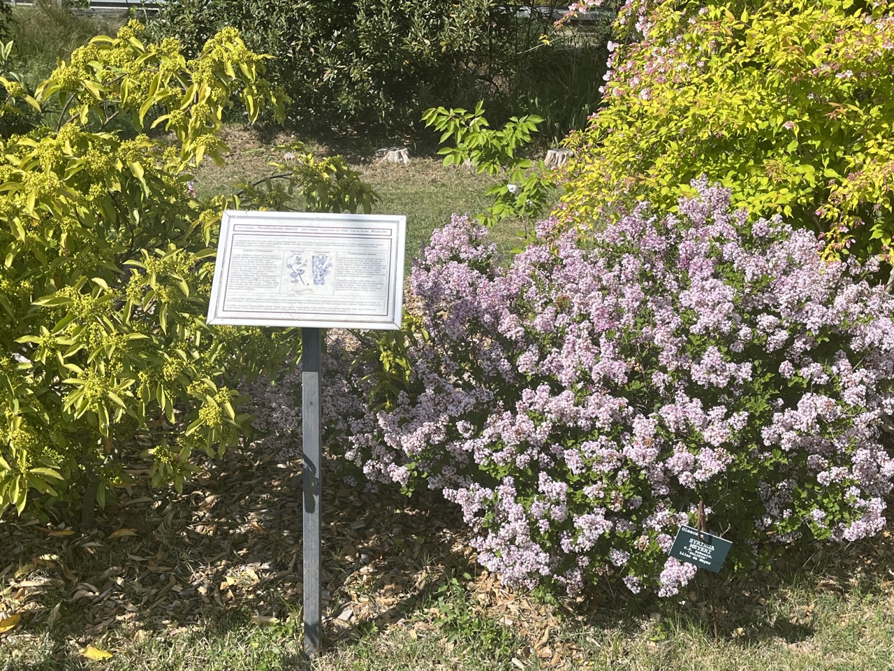 IMG_9351 - Grande.jpeg