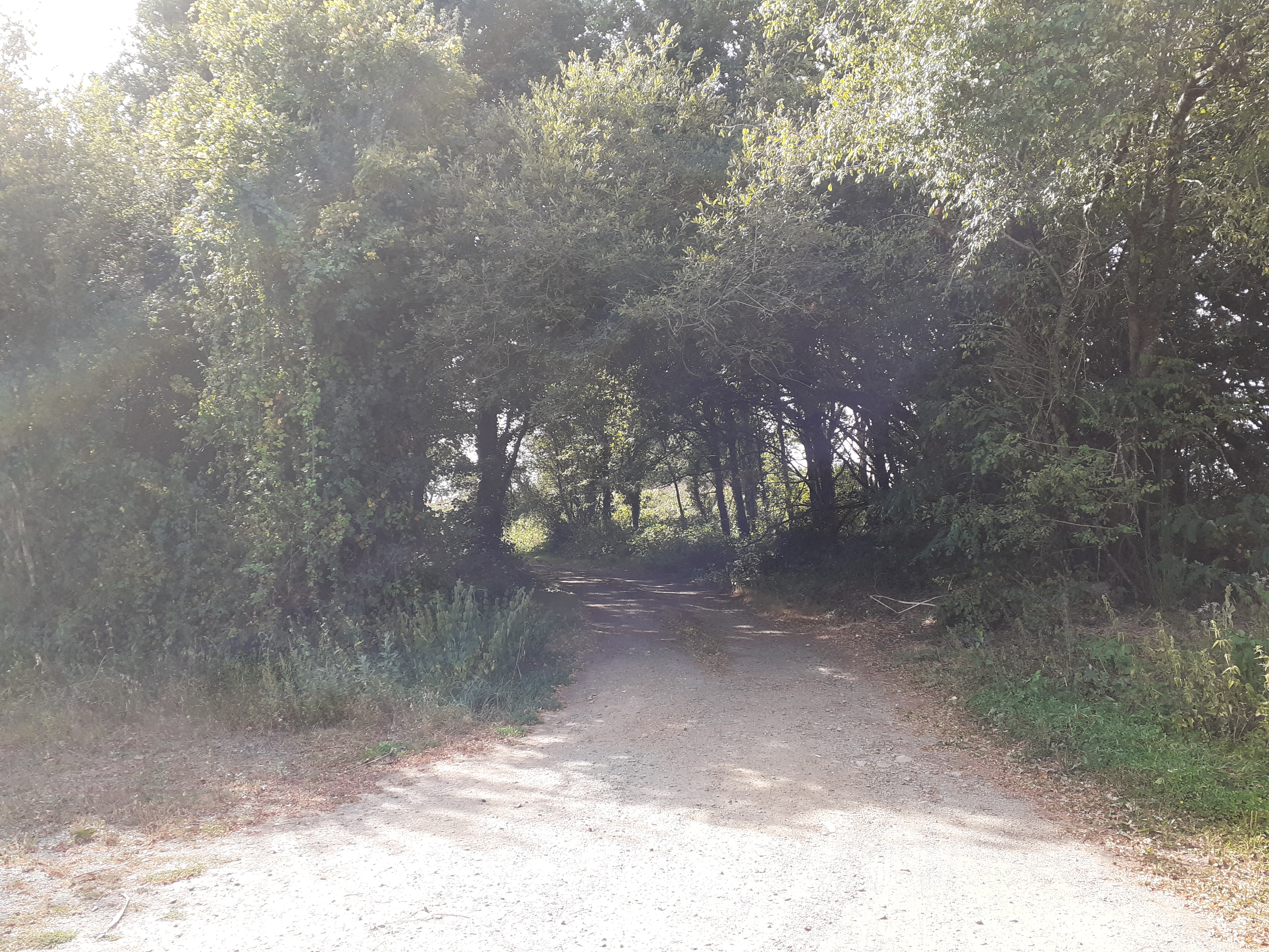 Déchèterie Communale 3.jpg