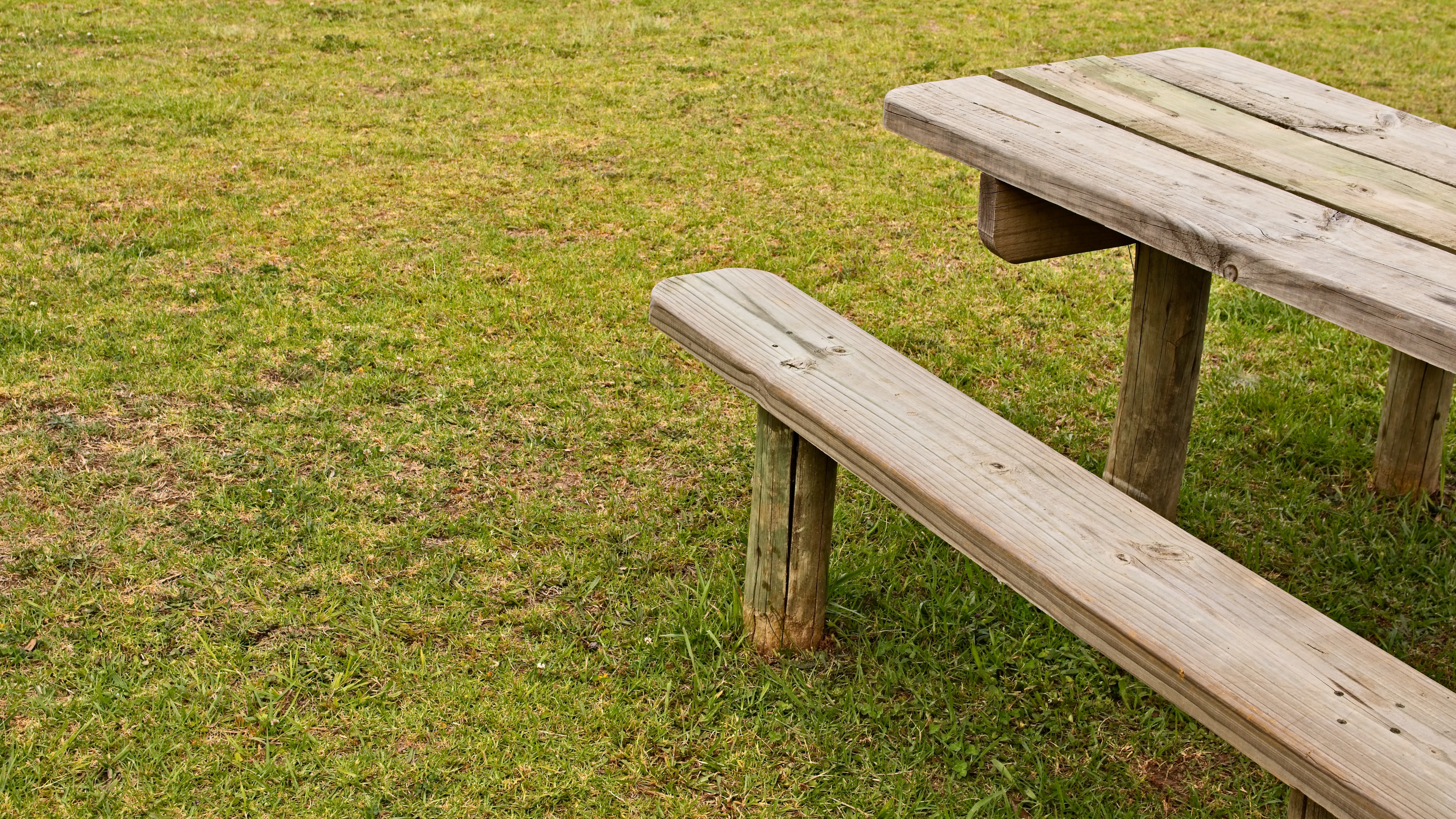 prise-de-vue-en-grand-angle-d-une-table-en-bois-et-d-un-banc-sur-le-terrain-couvert-d-herbe.jpg