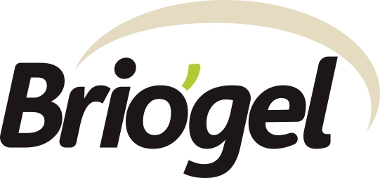 2024_briogel_page-0001 _1_.jpg