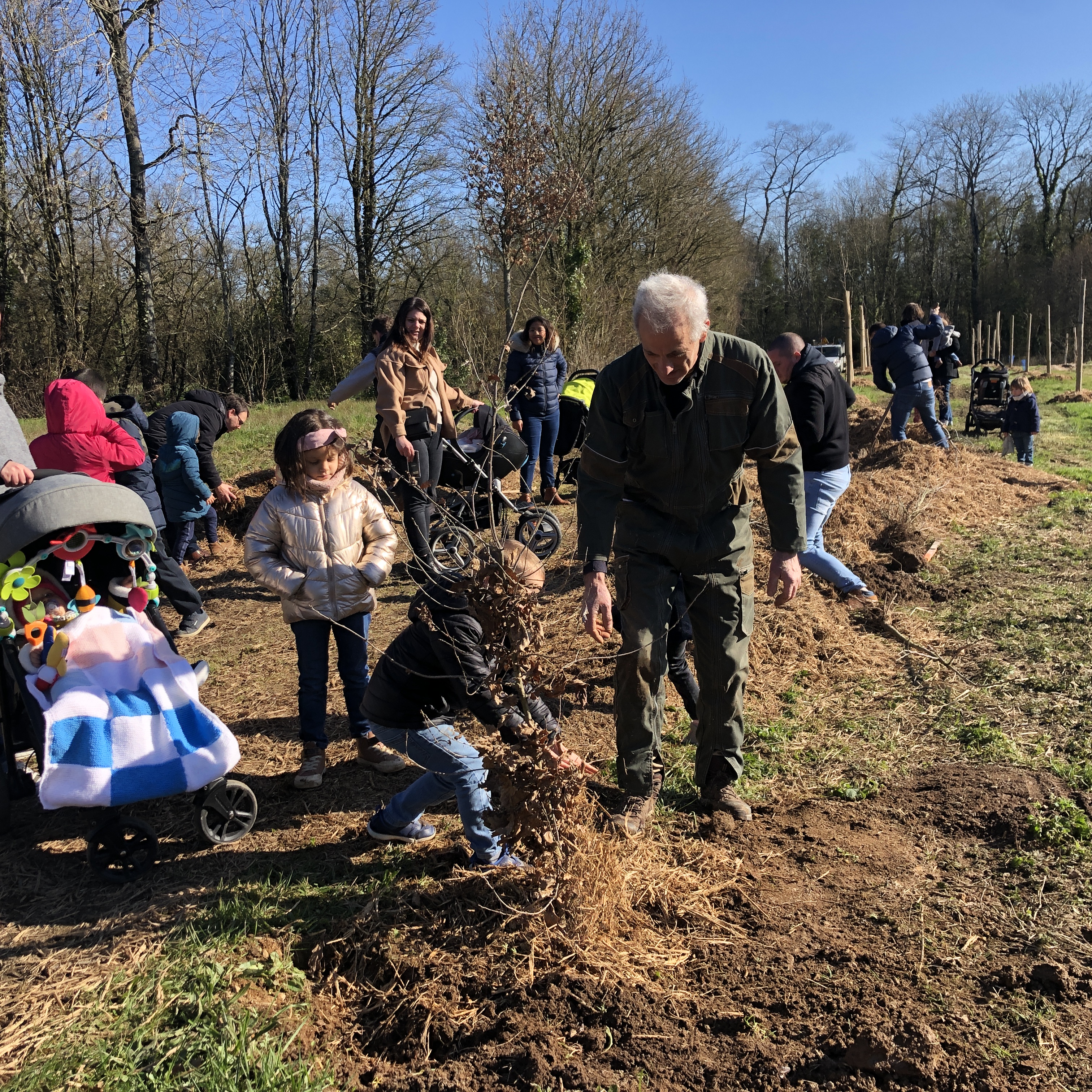 2022-02 une naissance, un arbre