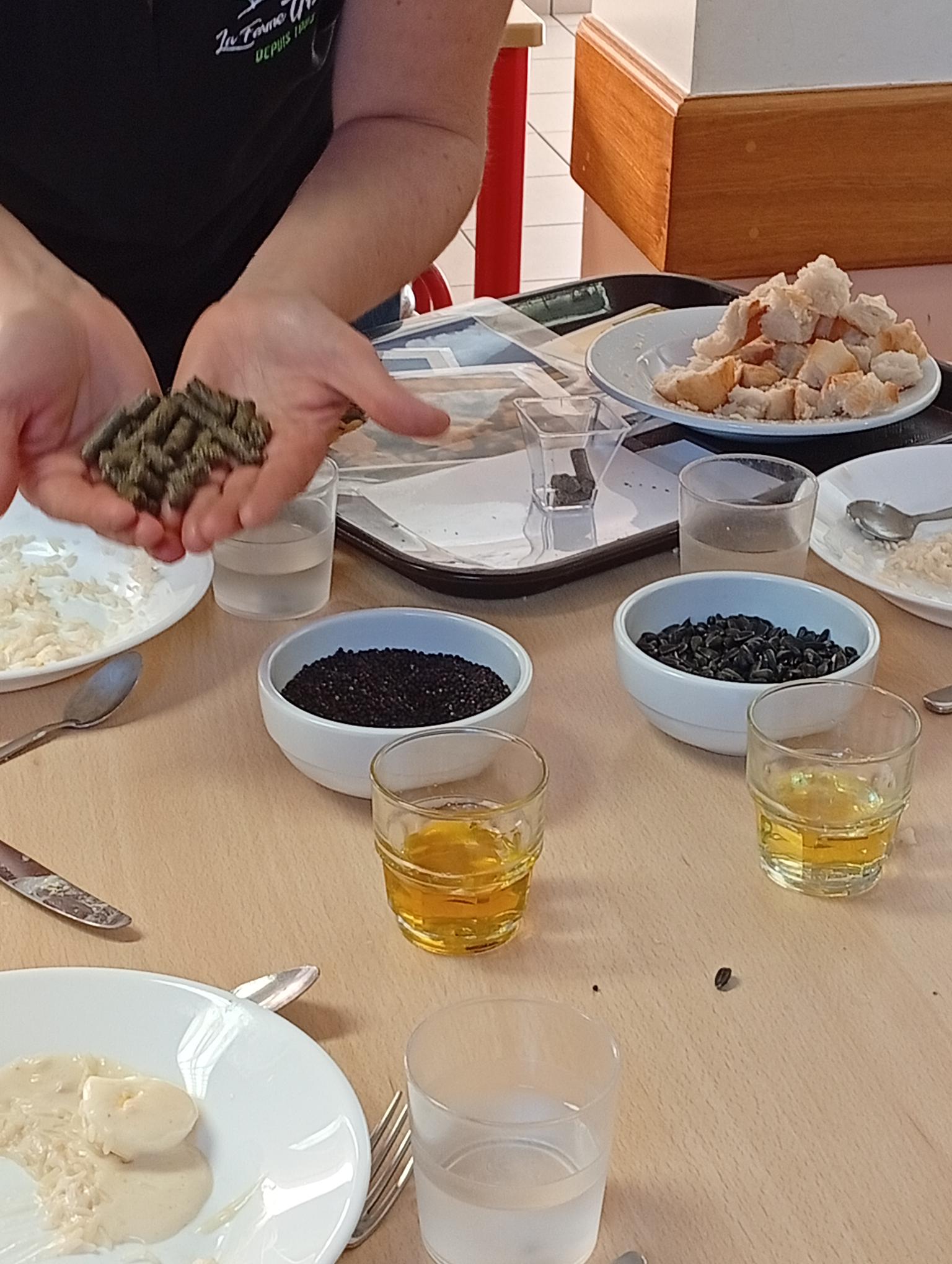 presentation_table.jpg