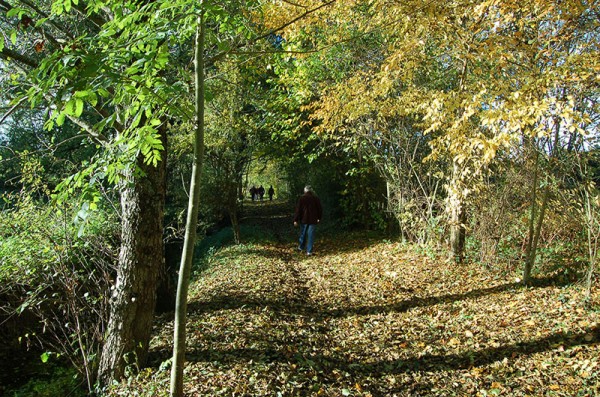 Sentier du Chateau.jpg