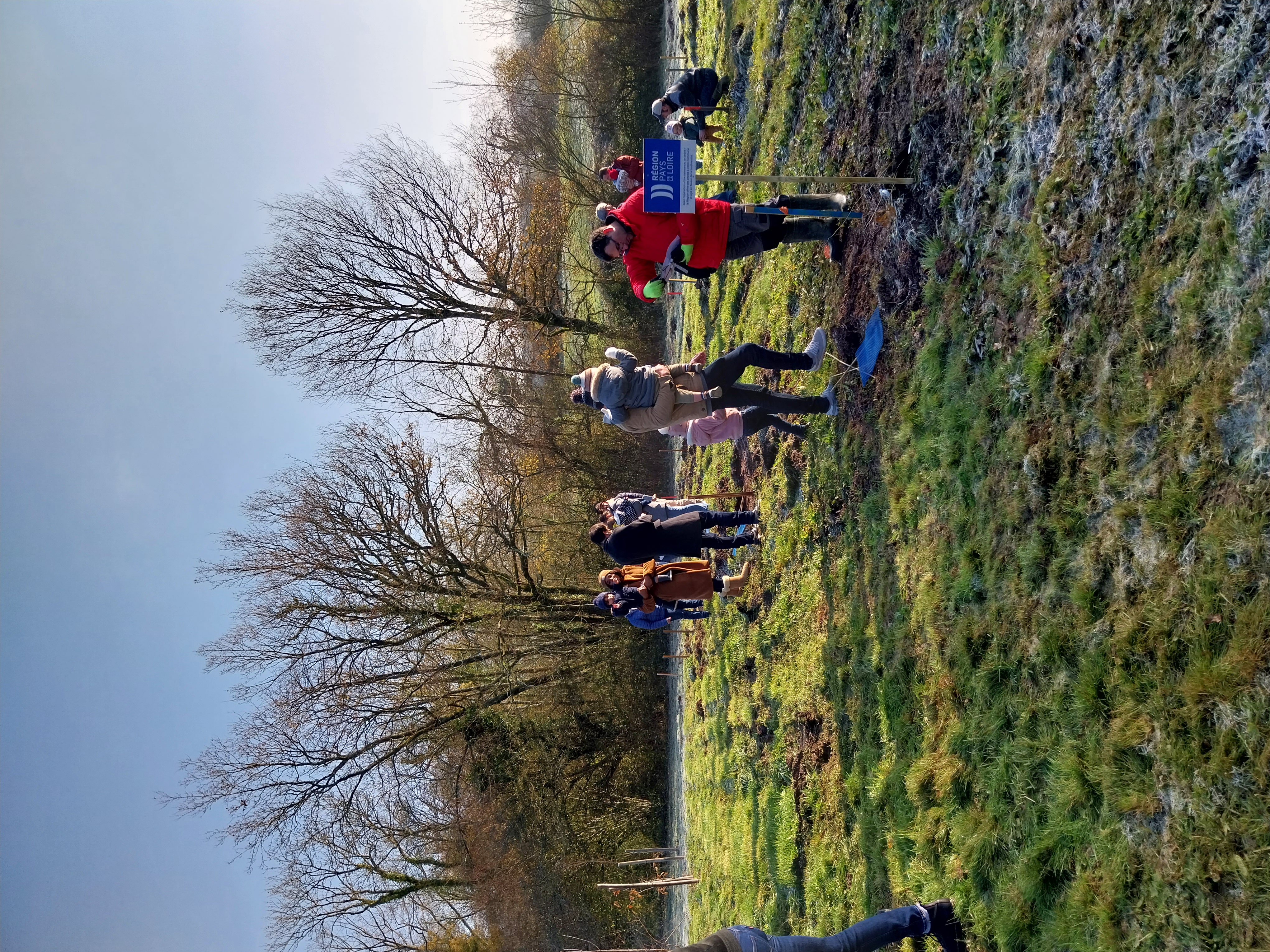 2023-12 une naissance un arbre _3_.jpg