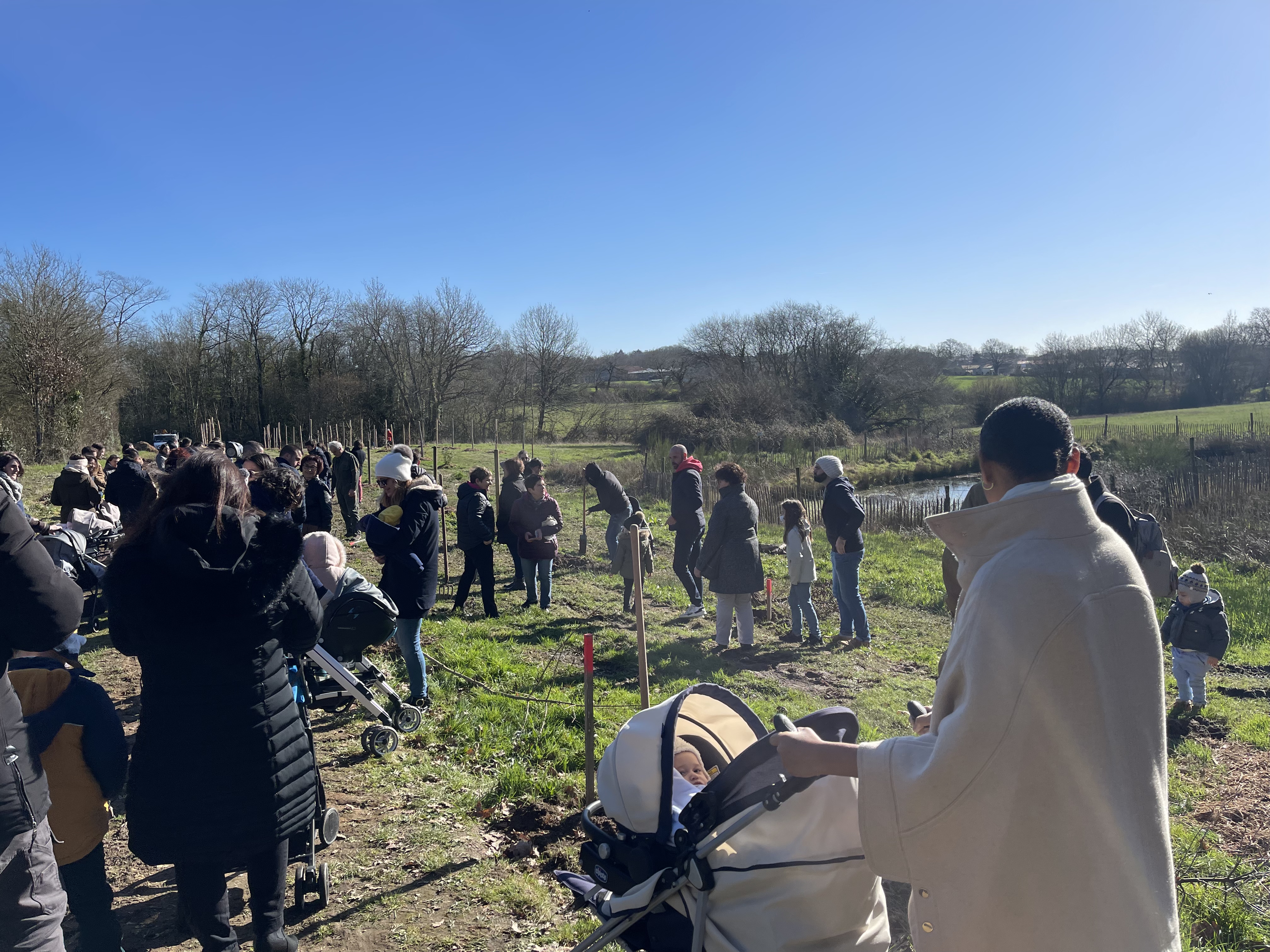 2022-02 une naissance un arbre
