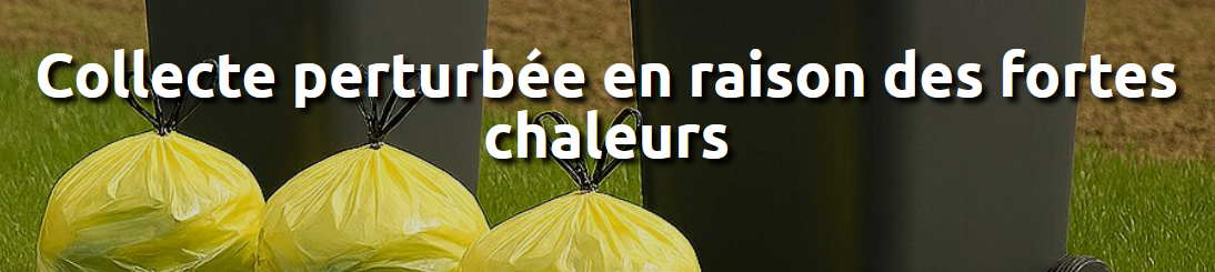 collecte.png