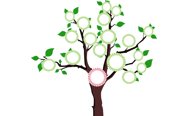 Arbre Archives communales