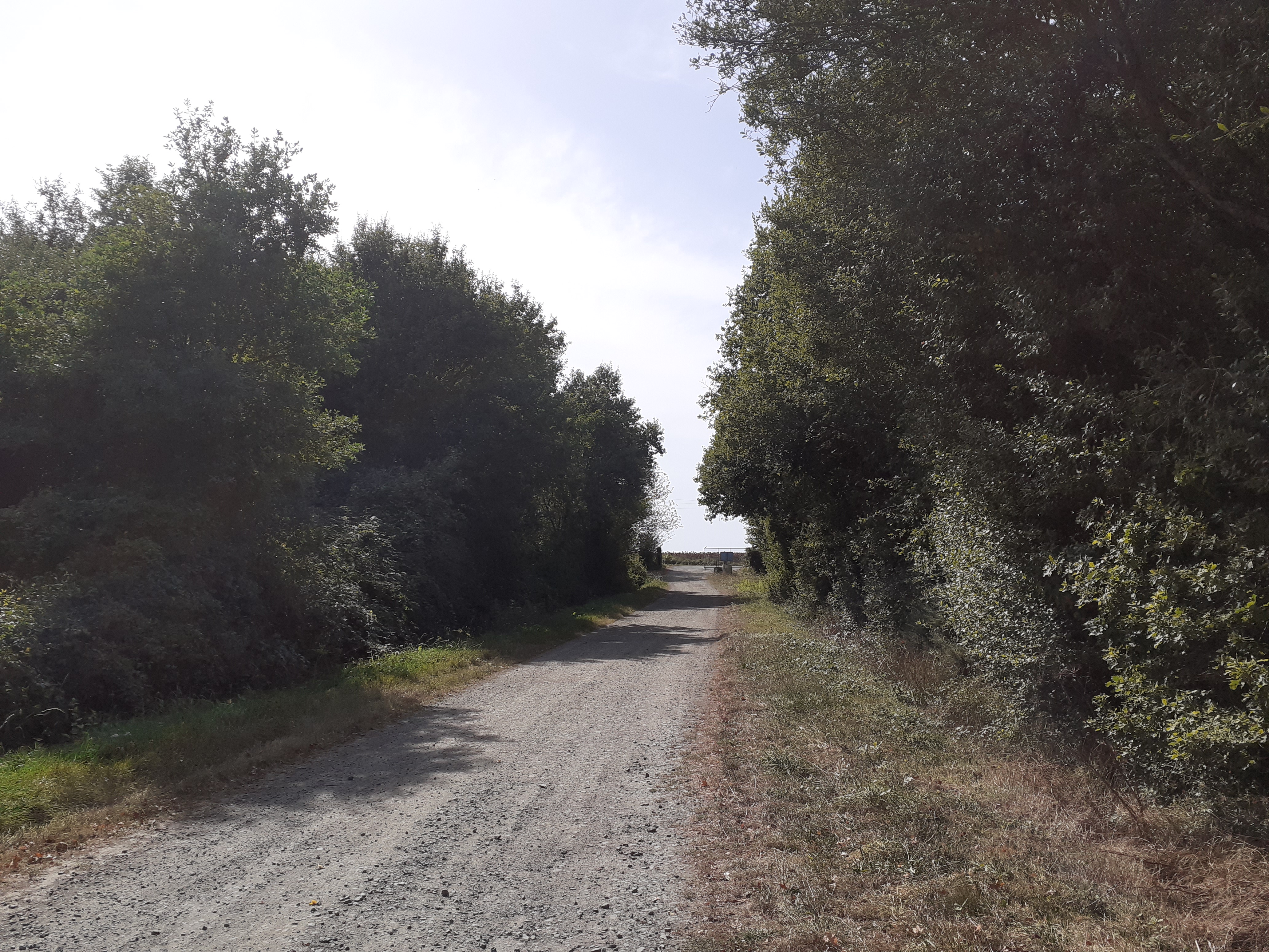 Décheterie Communale 6.jpg