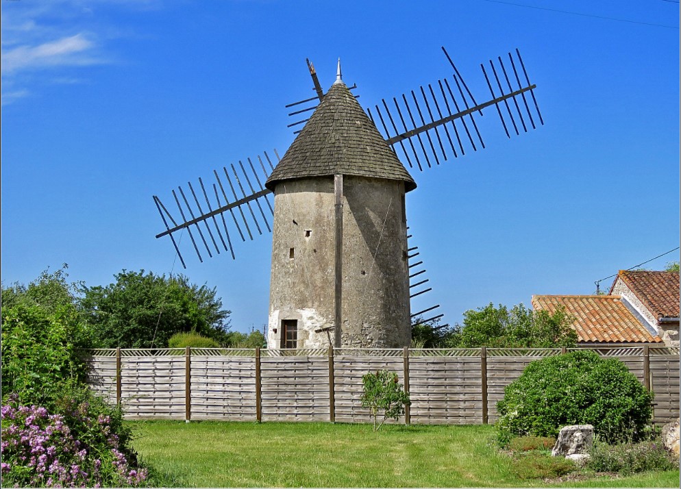 Avenue des MOULINS.jpg