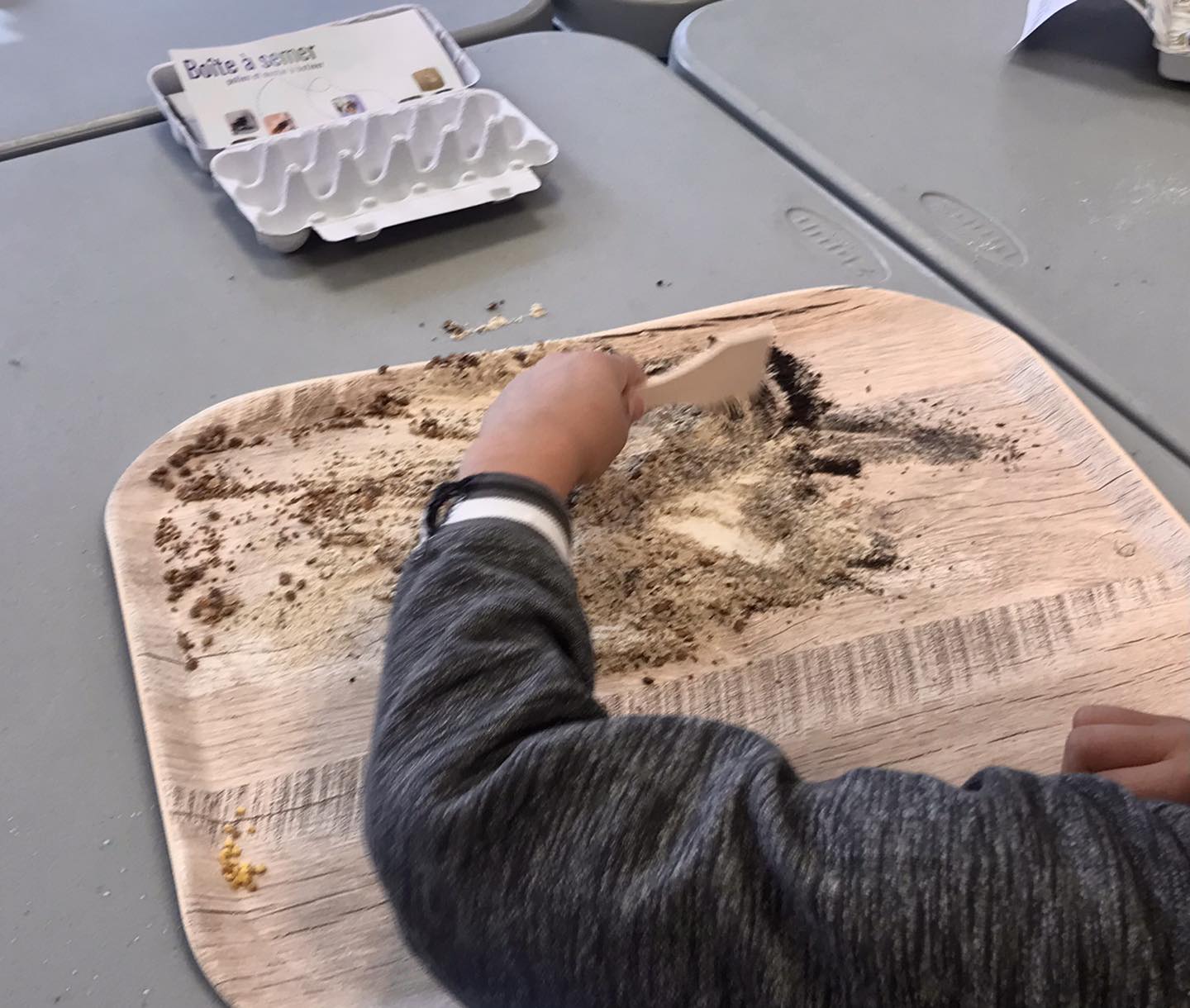 Atelier boîte à semer 2.jpg