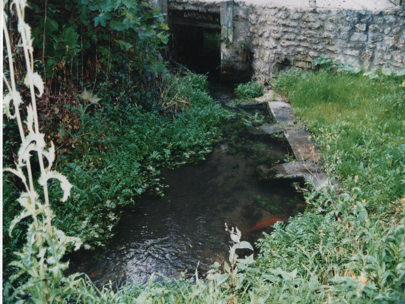 Lavoir de chez Real