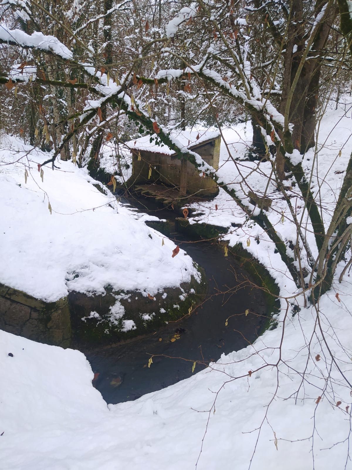 Lavoir de la Fontmorillon.jpg