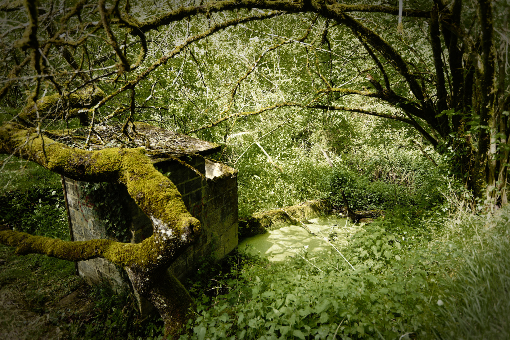 Lavoir de la Pichauderie.jpg