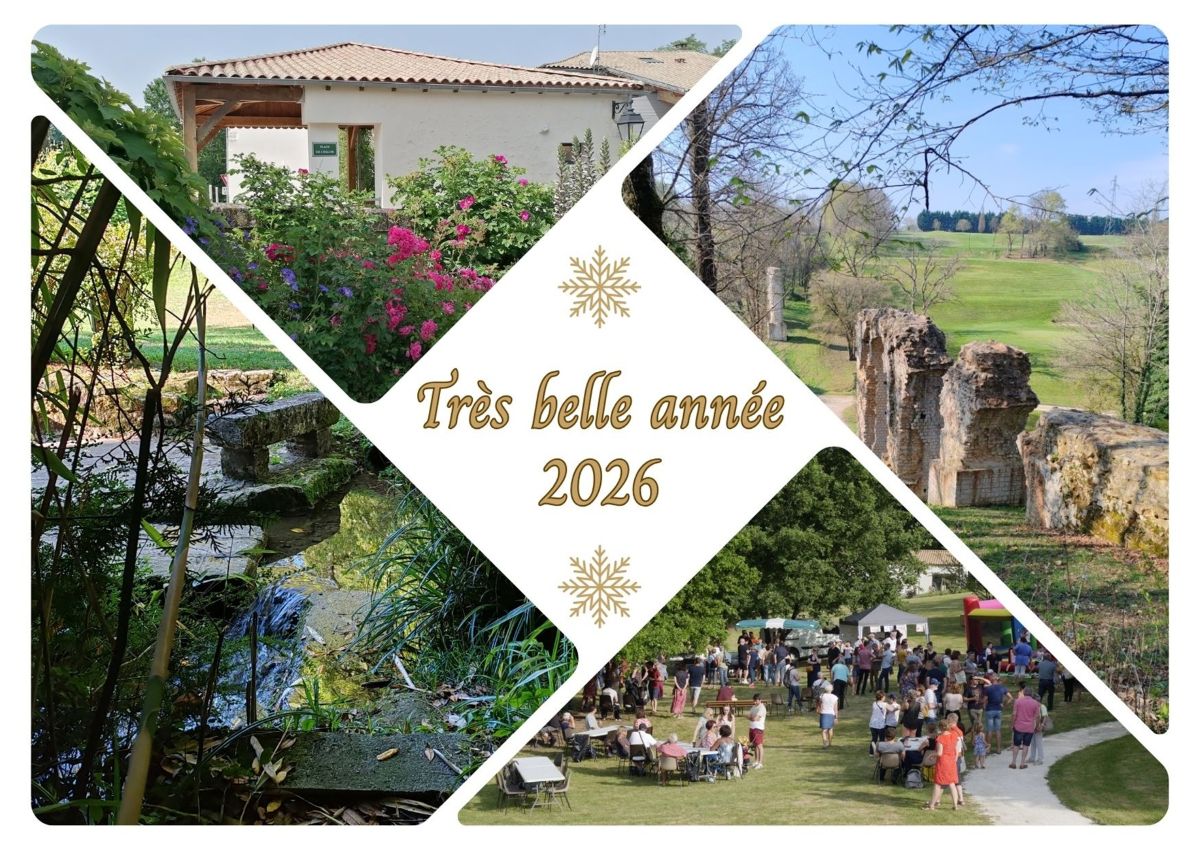 Bonne année 2026.jpg