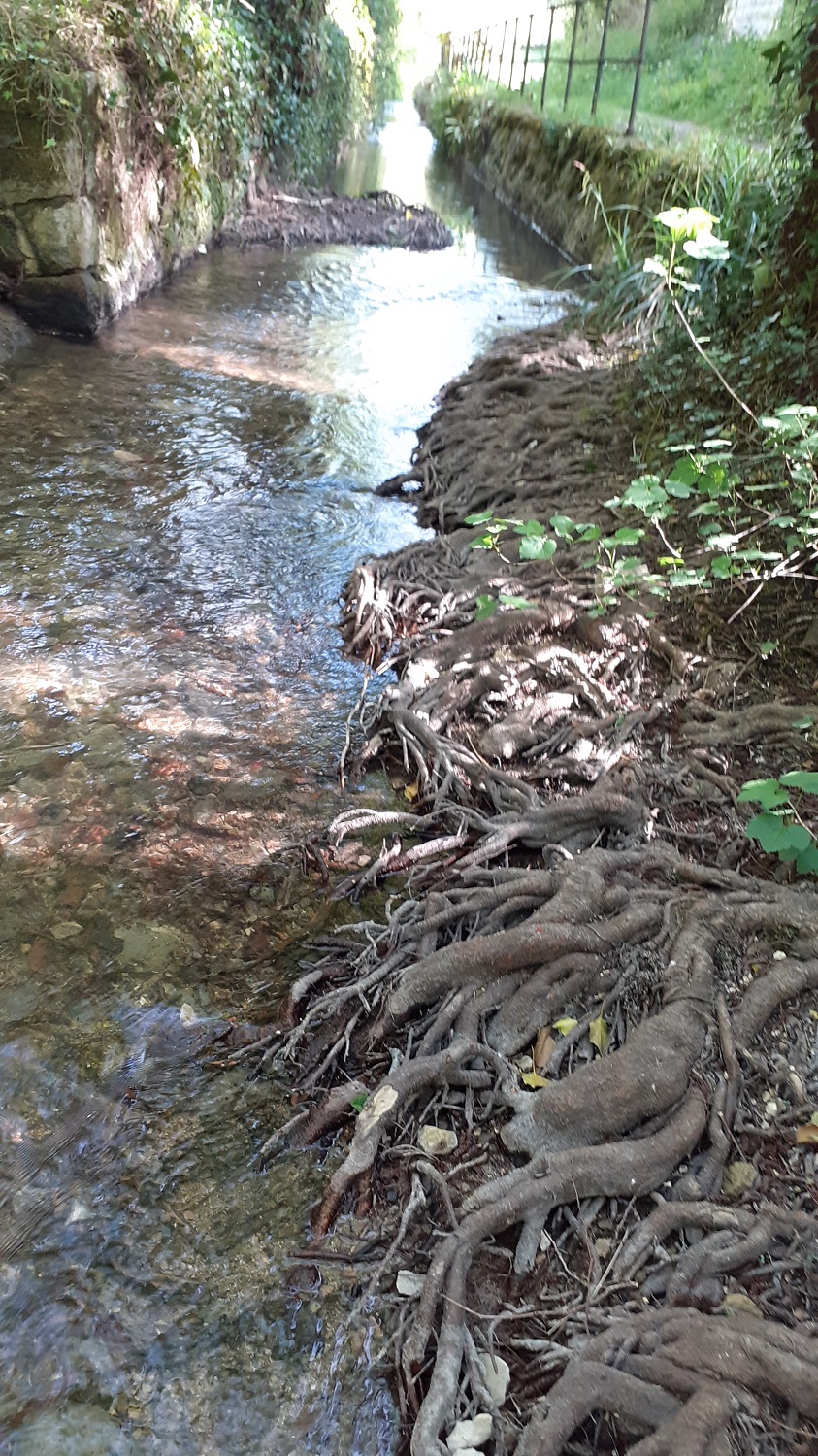 L_escambouille 4.jpg