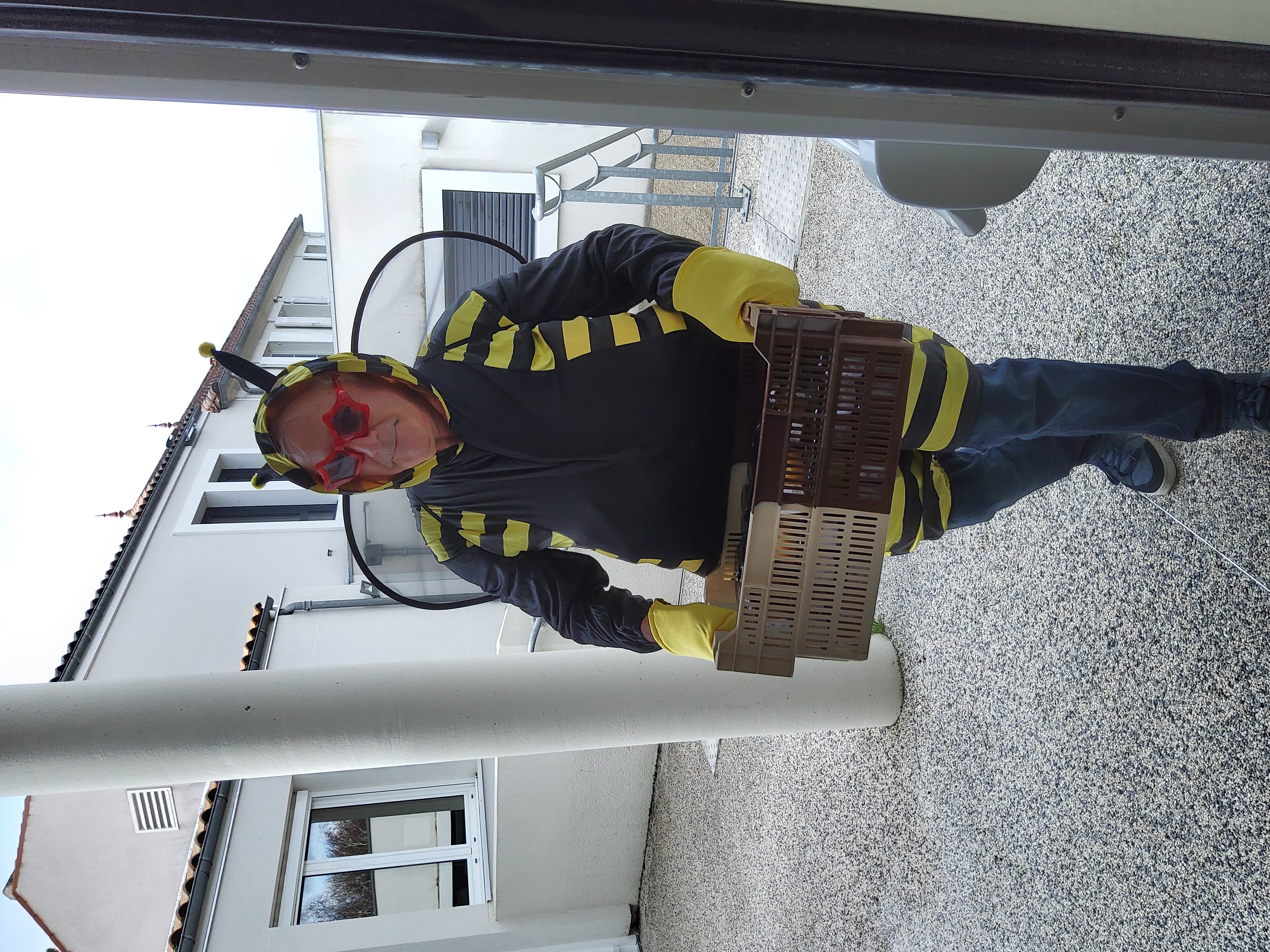 Maya apporte le miel.jpg