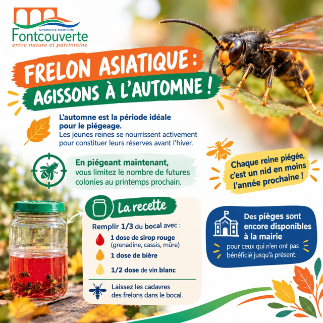 Frelon asiatique.png