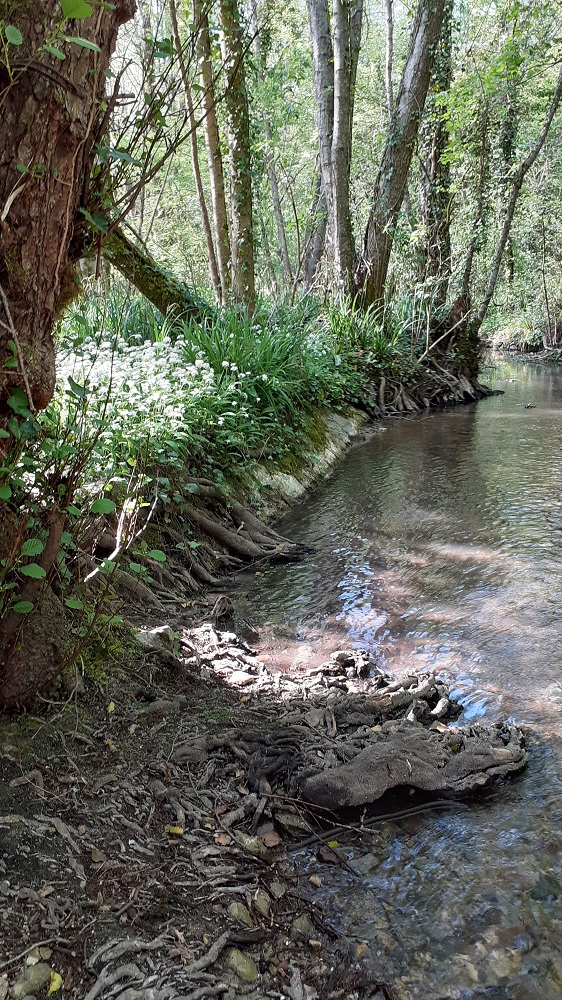 l_escambouille 1.jpg