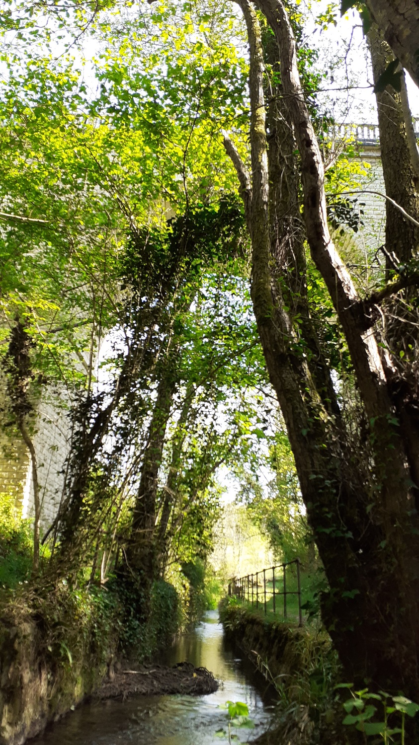 L_escambouille 3.jpg