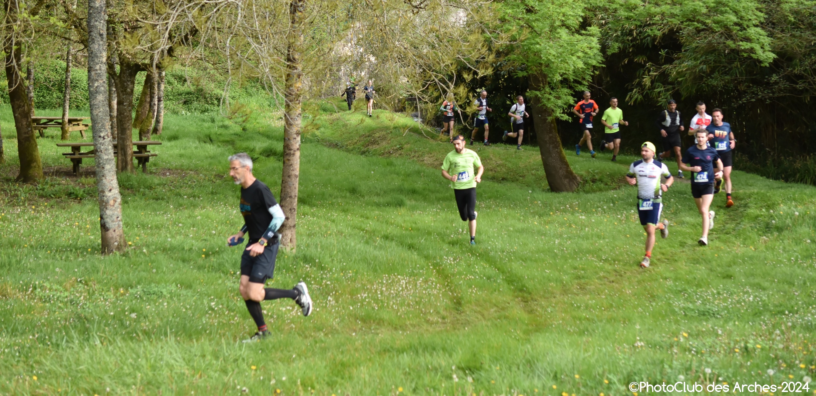 Trail des verts 2.jpg