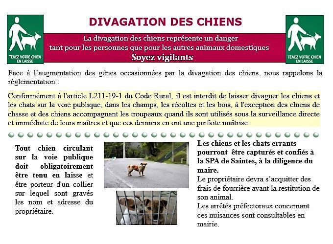Divagation des chiens.jpg