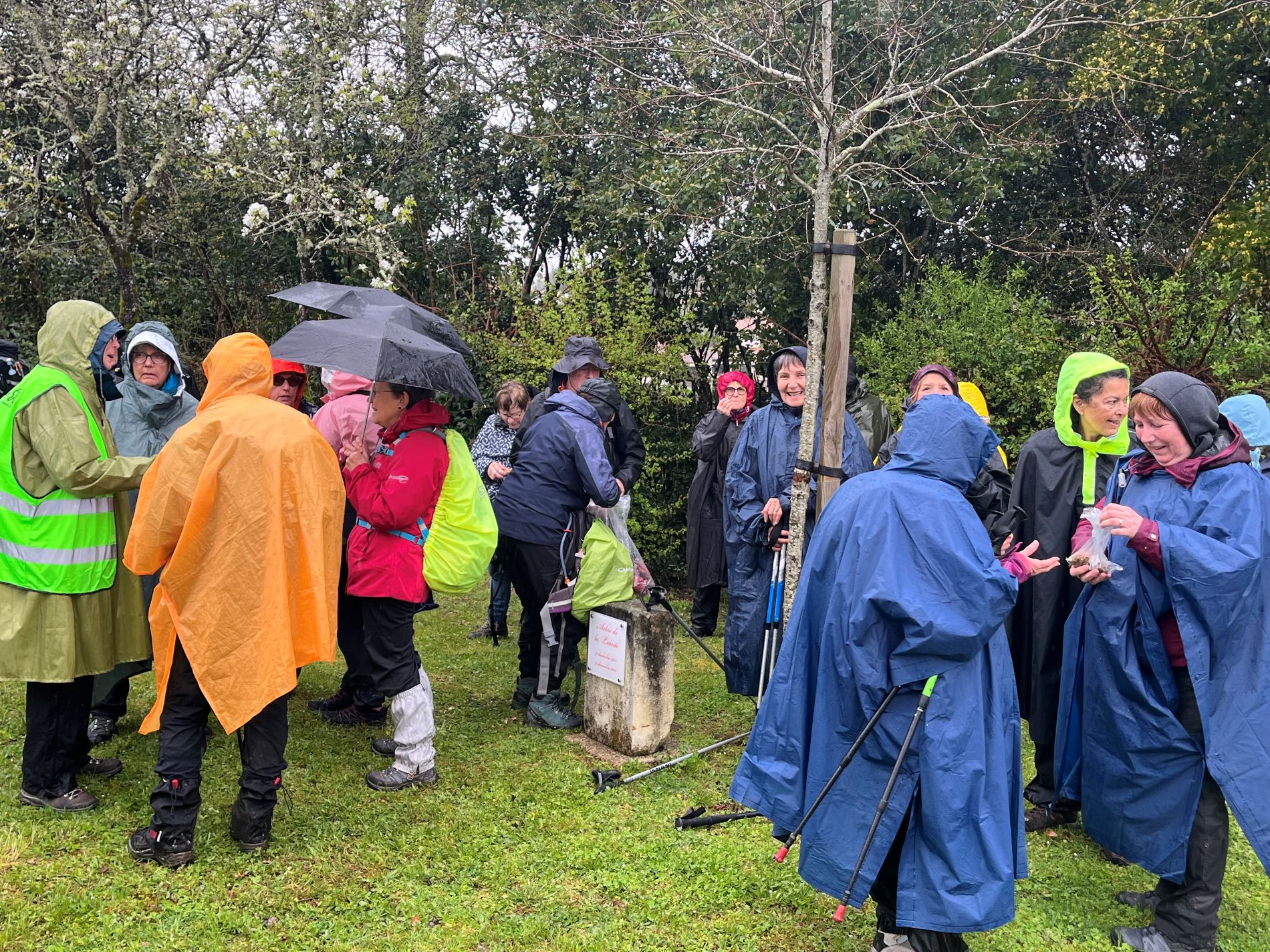 GRVP Fontcouverte 3.jpg